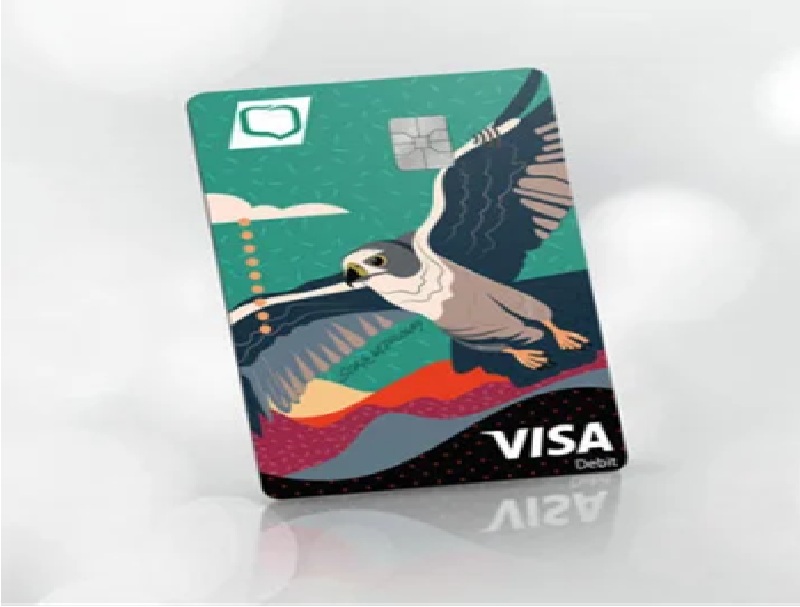 Karta Visa Wielowalutowa